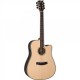 ESP LTD D-430E Natural Elektro Akustik Gitar